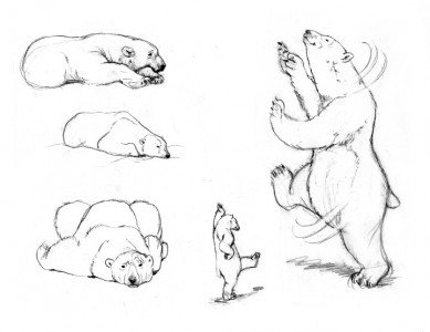 Rough Sketches of Polarity Bear #3